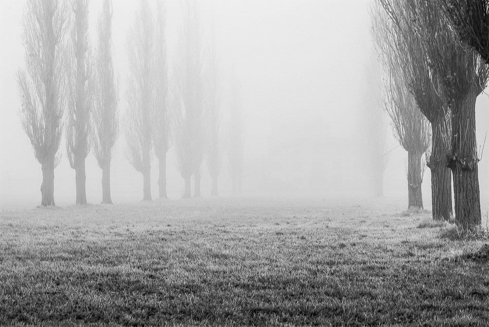 _DSF2913