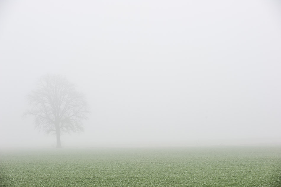_FM11200
