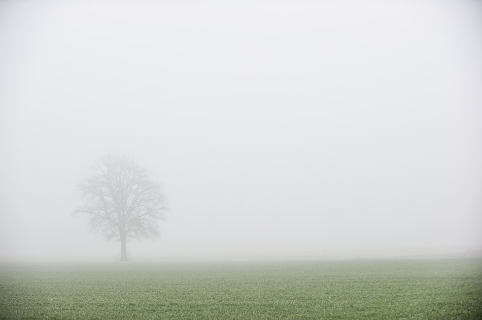 _FM11205
