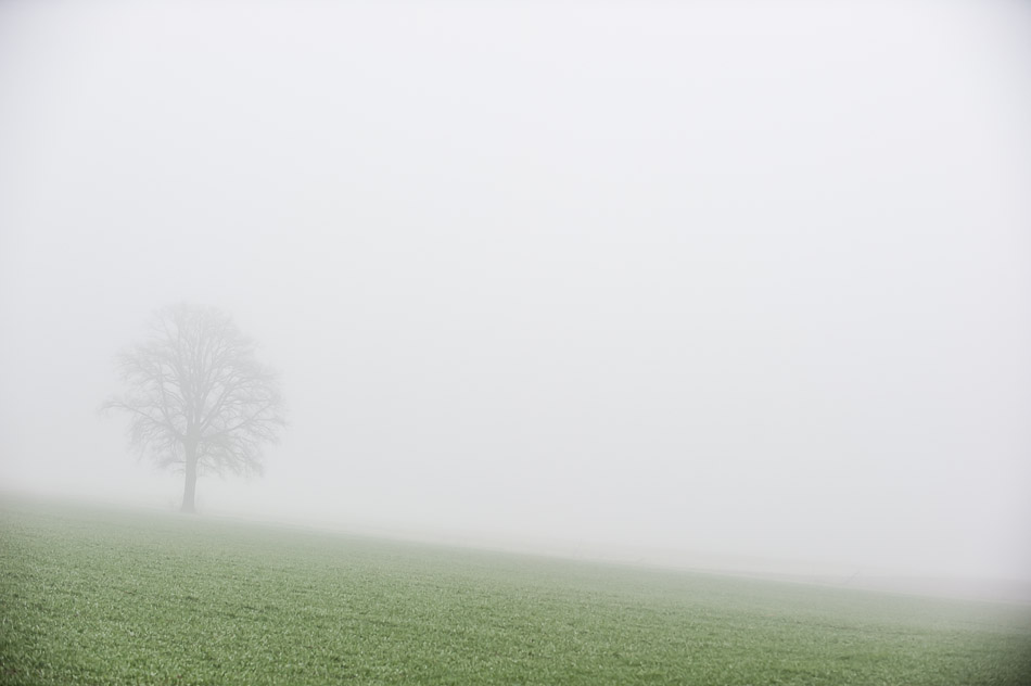 _FM11209