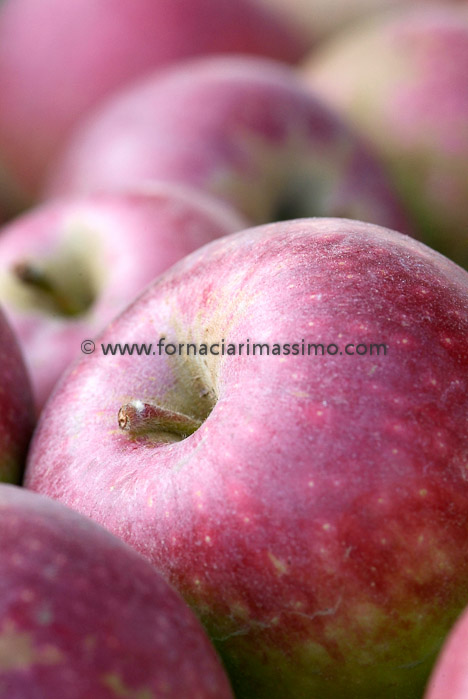 mele Campanine _DSF1232