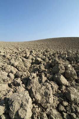 crete senesi 1