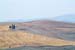 crete senesi 3