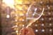 Conegliano prosecco  _DSF9794