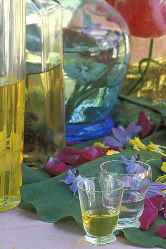 digestivi-ai-fiori--rit
