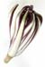 radicchio-rosso-di-Treviso-