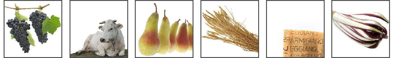immagini agricoltura