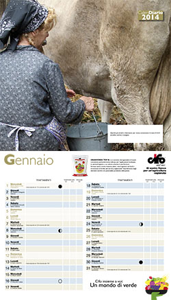 calendario CIFO 2014