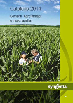 syngenta catalogo 2014