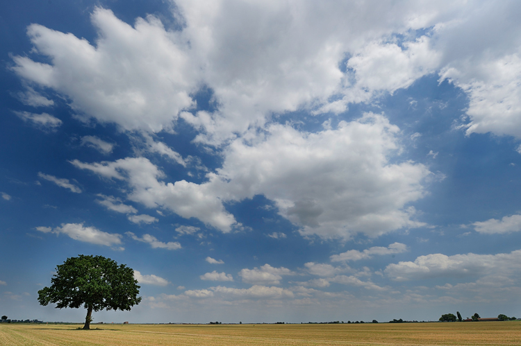 cielo d'Irlanda 