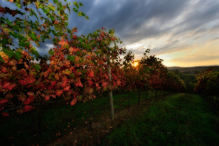 tramonto autunnale 