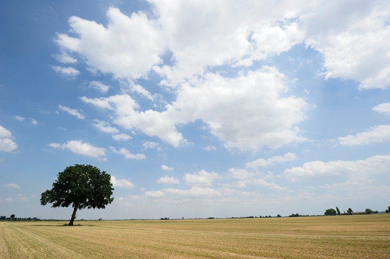 cielo