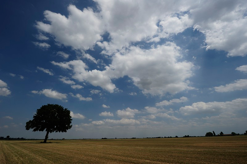 cielo
