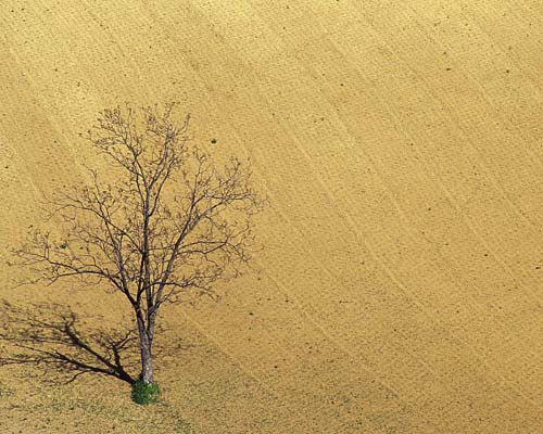 paesaggio-albinea-2004-001